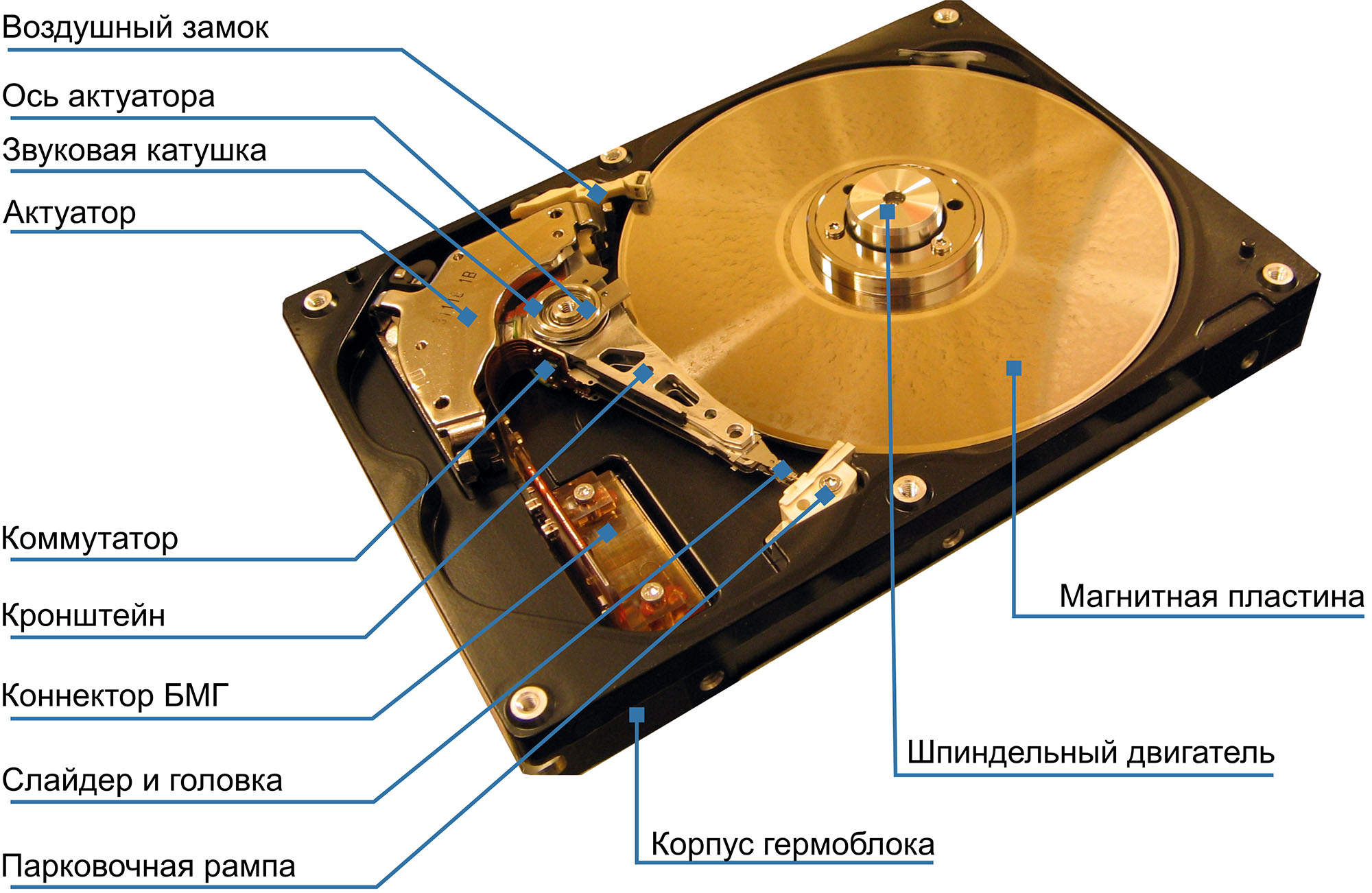 Звуковой карты жесткого диска. Состав жесткого диска. Устройство HDD. Составляющие жесткого диска. Конструкция жесткого диска.